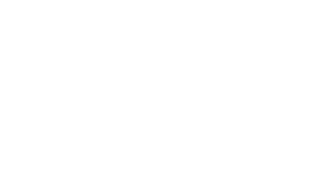 DataMagnet - logo